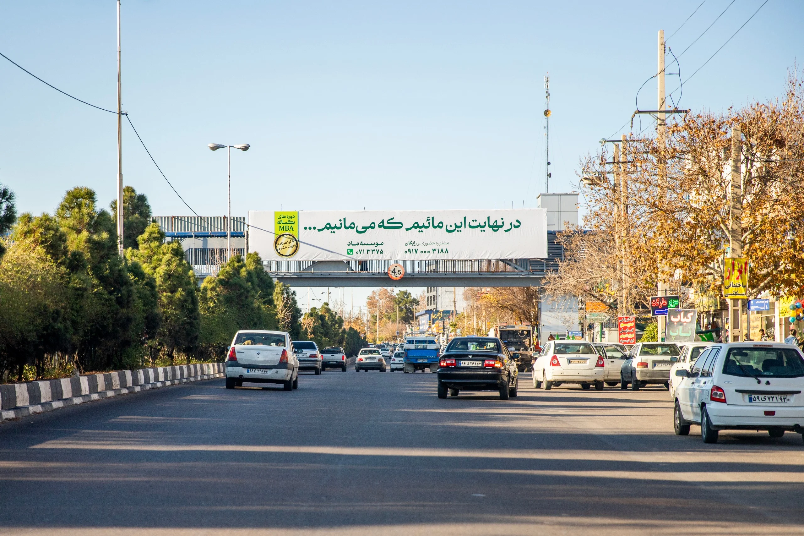 رستوران کاج – فضای داخلی